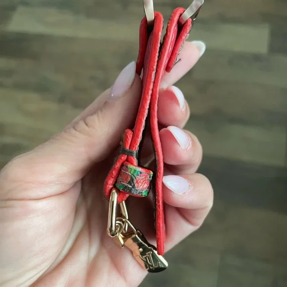 Upcycled LV 🍒 with Zipper Pull - Picture 3 of 5